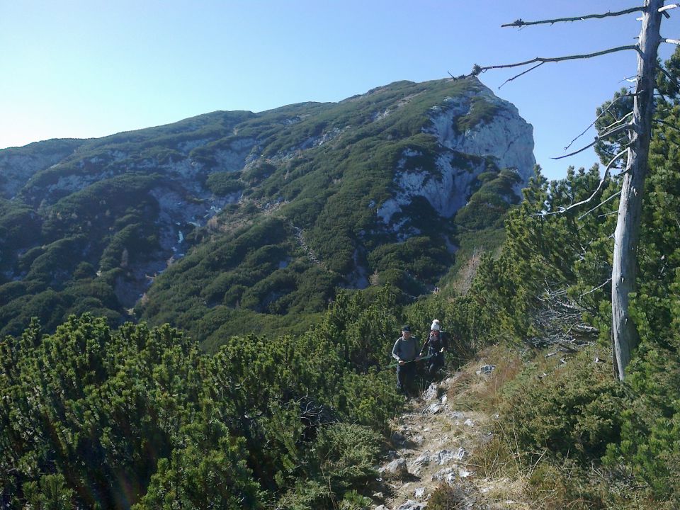 Pot proti Križevniku