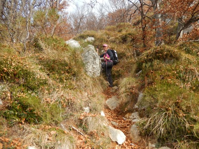 Strmi del poti na Svinjak