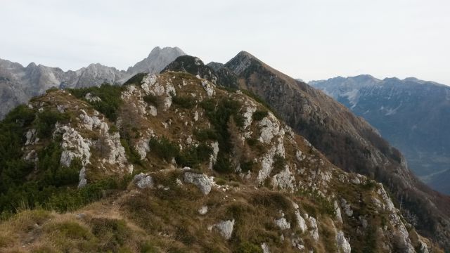 Razgled iz vrha na Bavški Grintavec