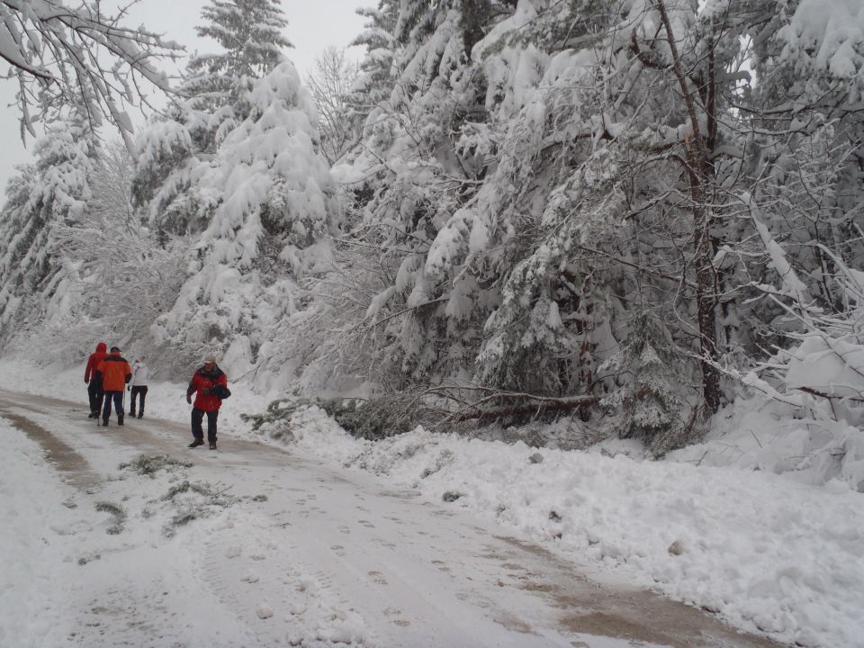 20151122 Travna g.-Turjak,Županova jama - foto povečava