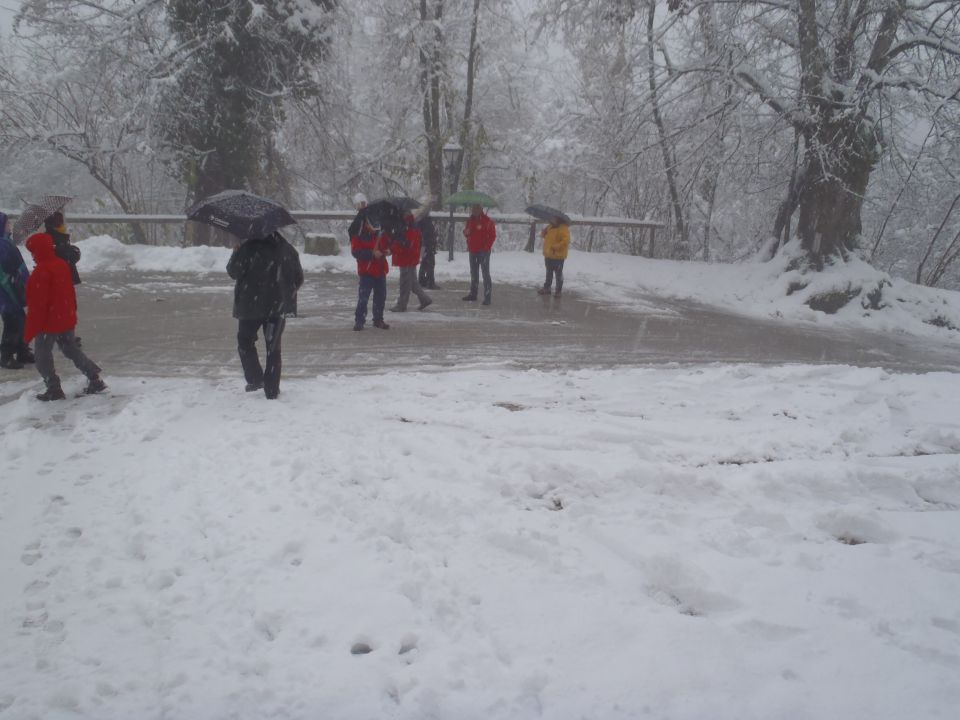 20151122 Travna g.-Turjak,Županova jama - foto povečava