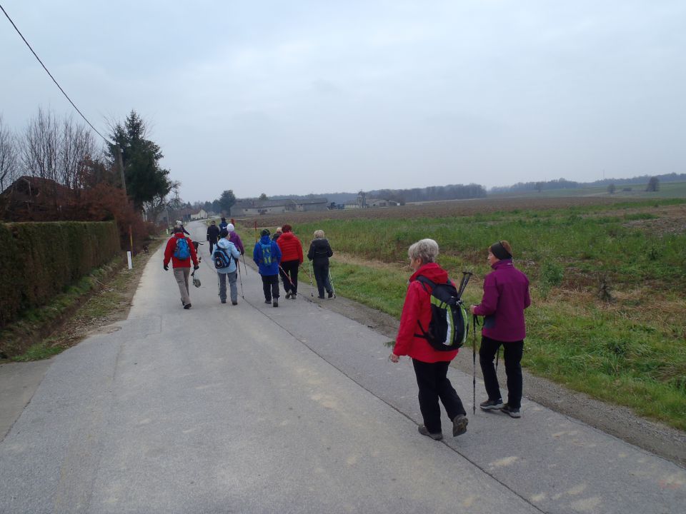 20151128 S planin. prijatelji okrog Sebeborec - foto povečava