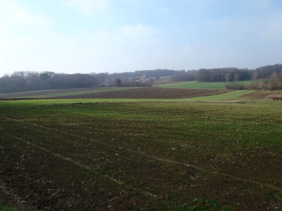 Pogled čez polja v smeri nekoč znanega mlina Lapovec.