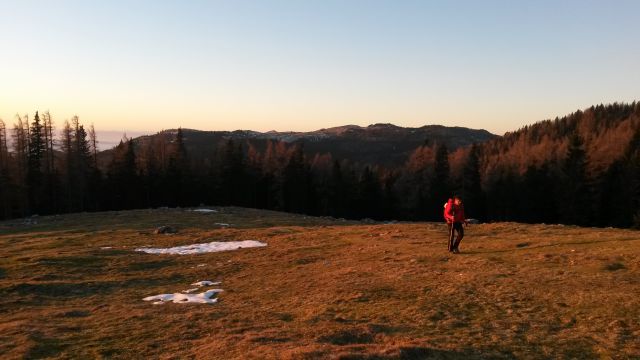 Pot čez Planino Podvežak