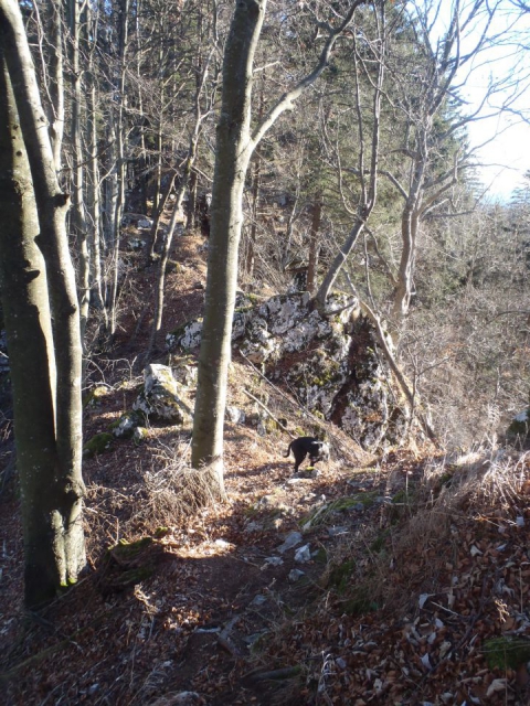 20151225 Paški kozjak-Špik-Basališče-Vitanje - foto