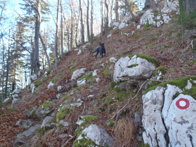 20151225 Paški kozjak-Špik-Basališče-Vitanje - foto