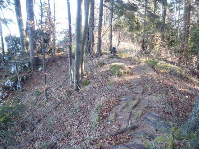 20151225 Paški kozjak-Špik-Basališče-Vitanje - foto
