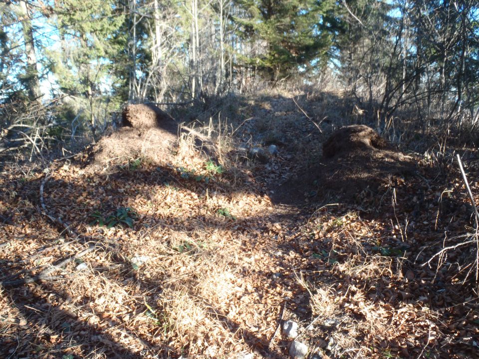 20151225 Paški kozjak-Špik-Basališče-Vitanje - foto povečava