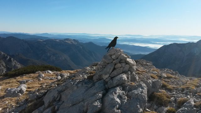 Razgled iz vrha na Veliko Planino