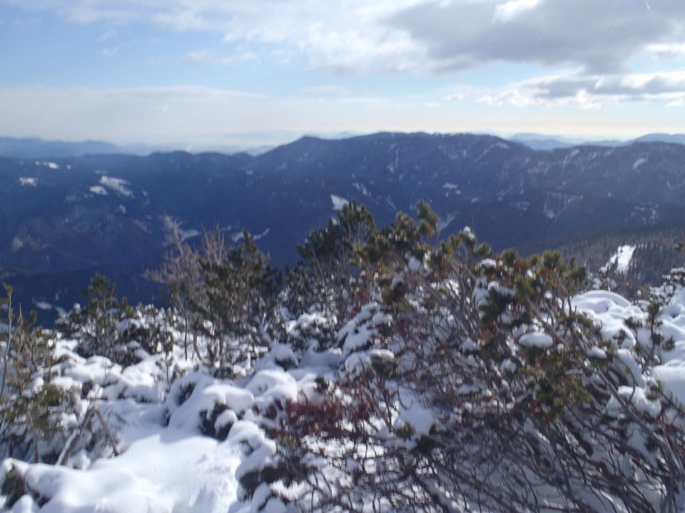 20160117 Peca - sončna in vetrovna - foto povečava