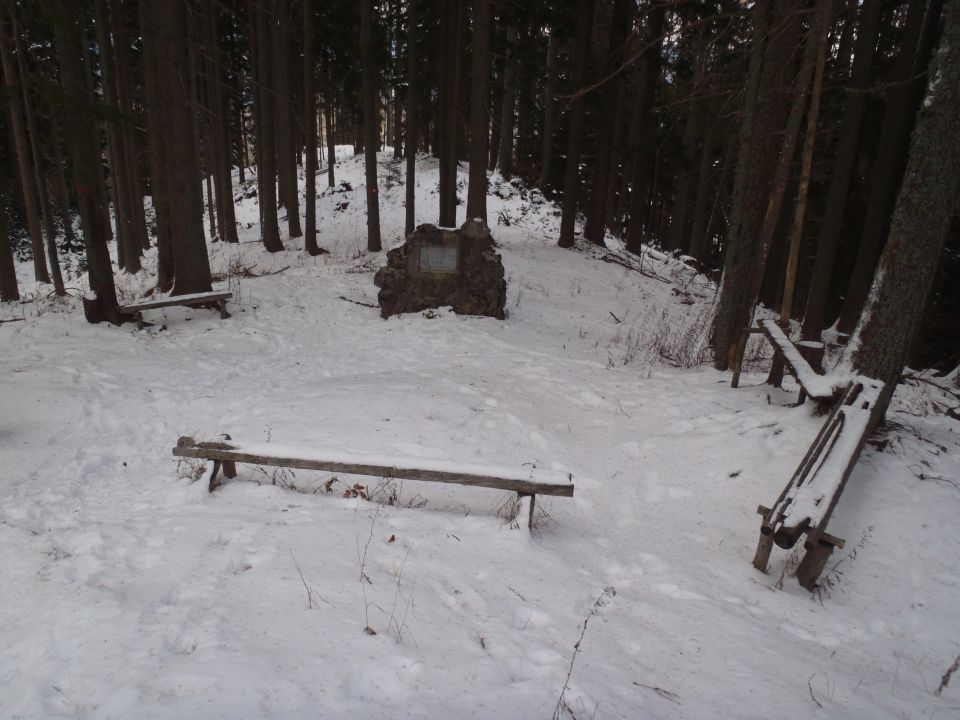 20160117 Peca - sončna in vetrovna - foto povečava