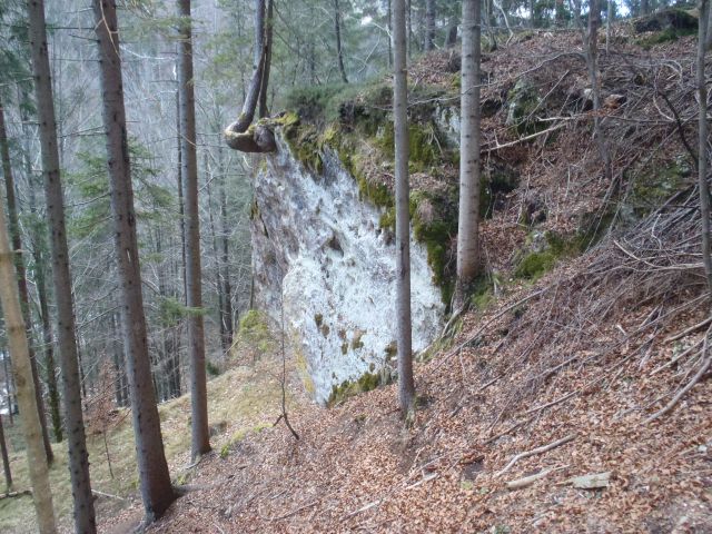 20160127 Bled,Peričnik,Planica,Tromeja - foto