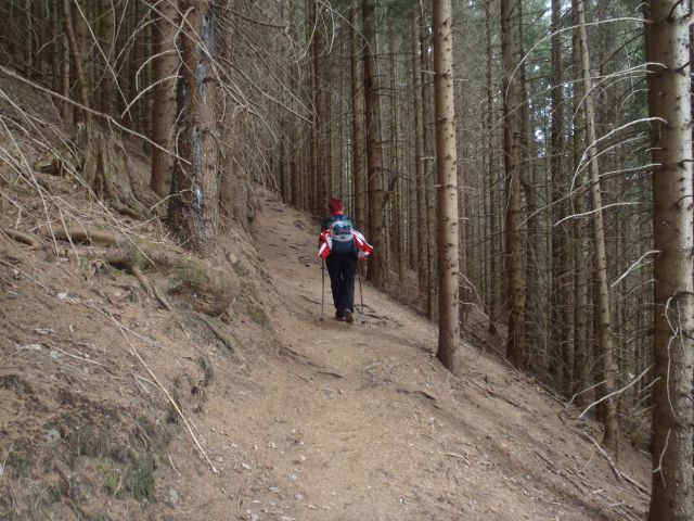 20160127 Bled,Peričnik,Planica,Tromeja - foto