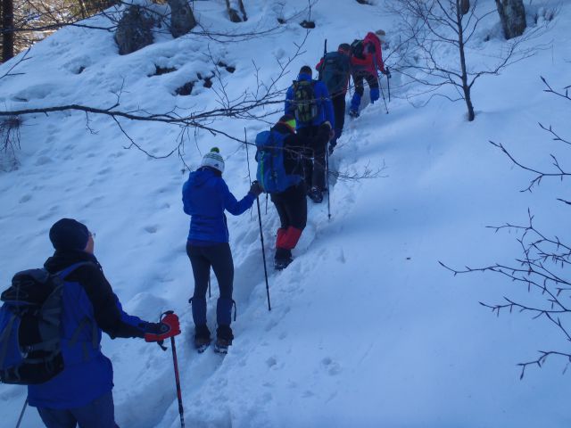 20160221 Planina pod Golico-Krvavka - foto