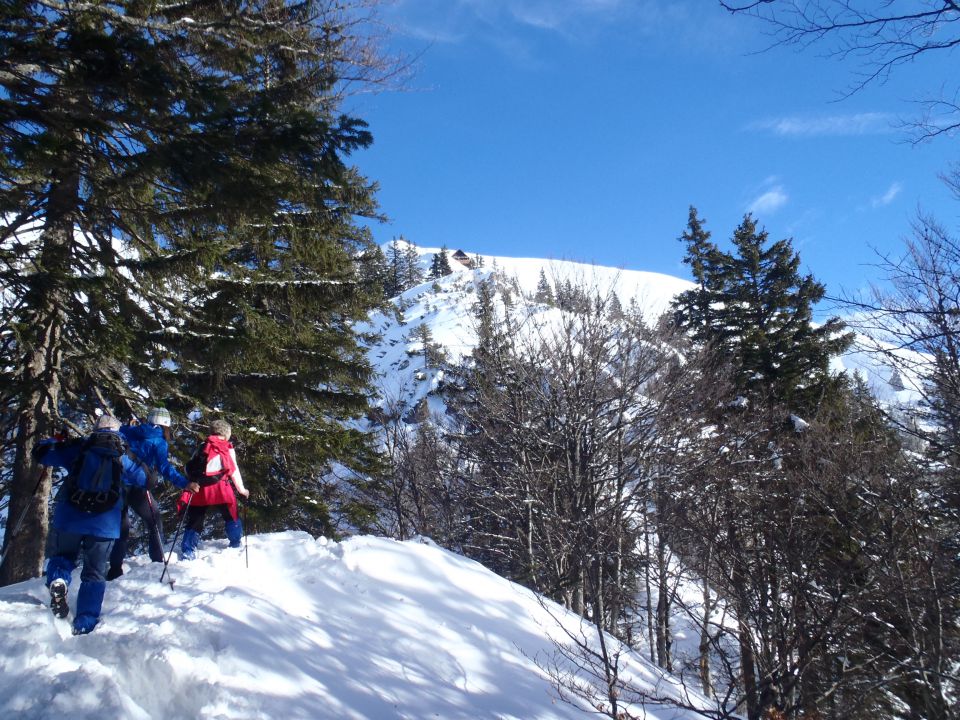 20160221 Planina pod Golico-Krvavka - foto povečava