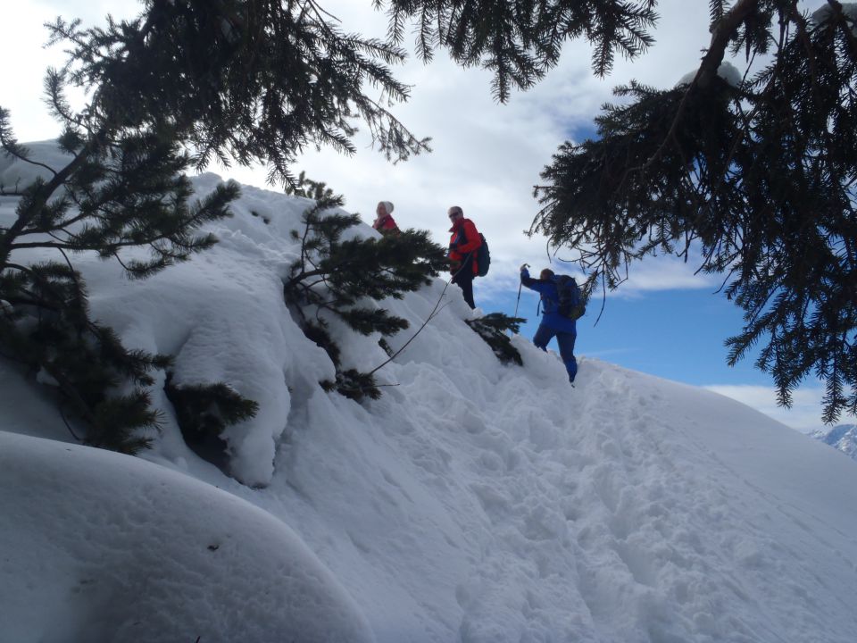 20160221 Planina pod Golico-Krvavka - foto povečava