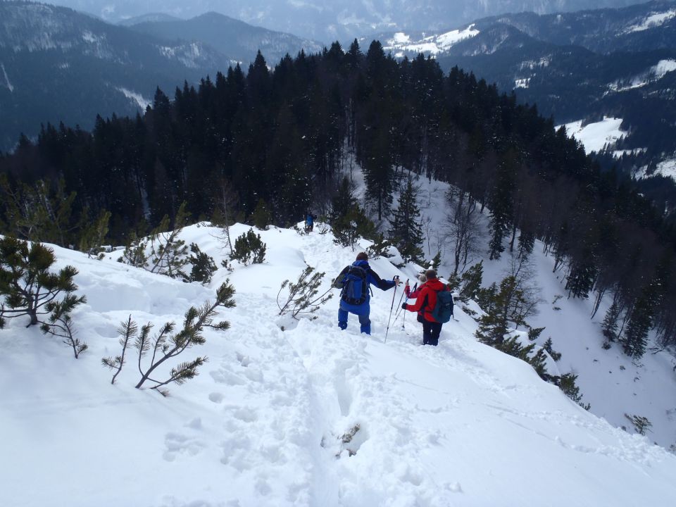 20160221 Planina pod Golico-Krvavka - foto povečava