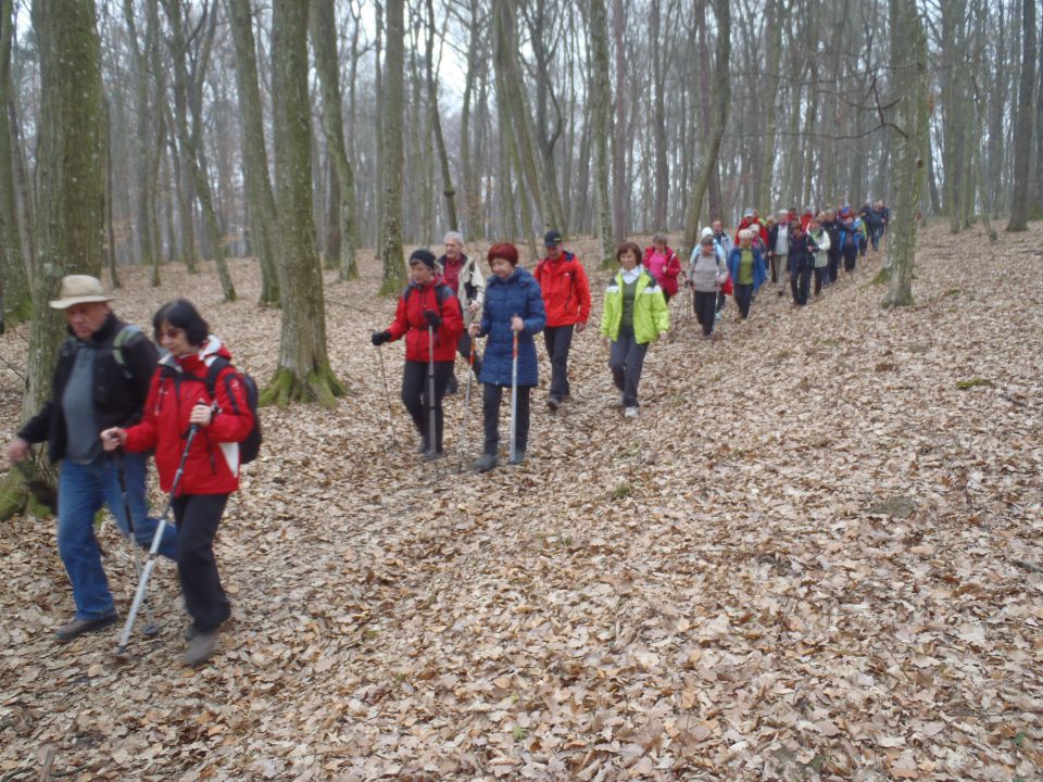 20160228 Mem.Delavca,Bogojina-Strehovci Hanc - foto povečava