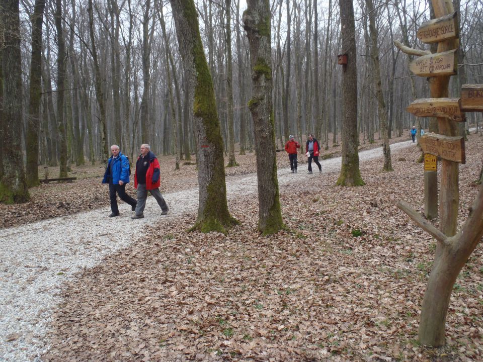 20160228 Mem.Delavca,Bogojina-Strehovci Hanc - foto povečava