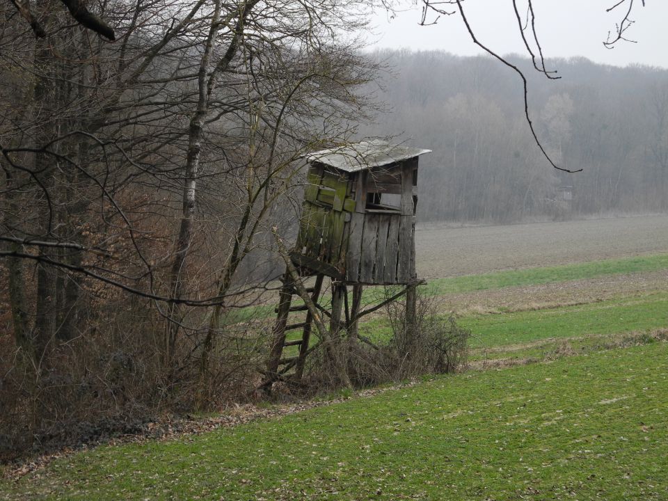 20160228 Mem.Delavca,Bogojina-Strehovci Hanc - foto povečava