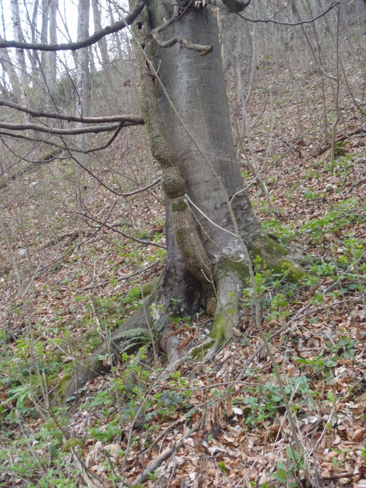 20160403 Hudičev,Srebotnik,Tolsti,Grmada,Bavč - foto povečava