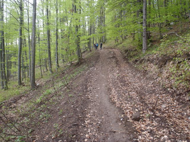 20160417 Kočevje-Stojna (jelenov studenec) - foto