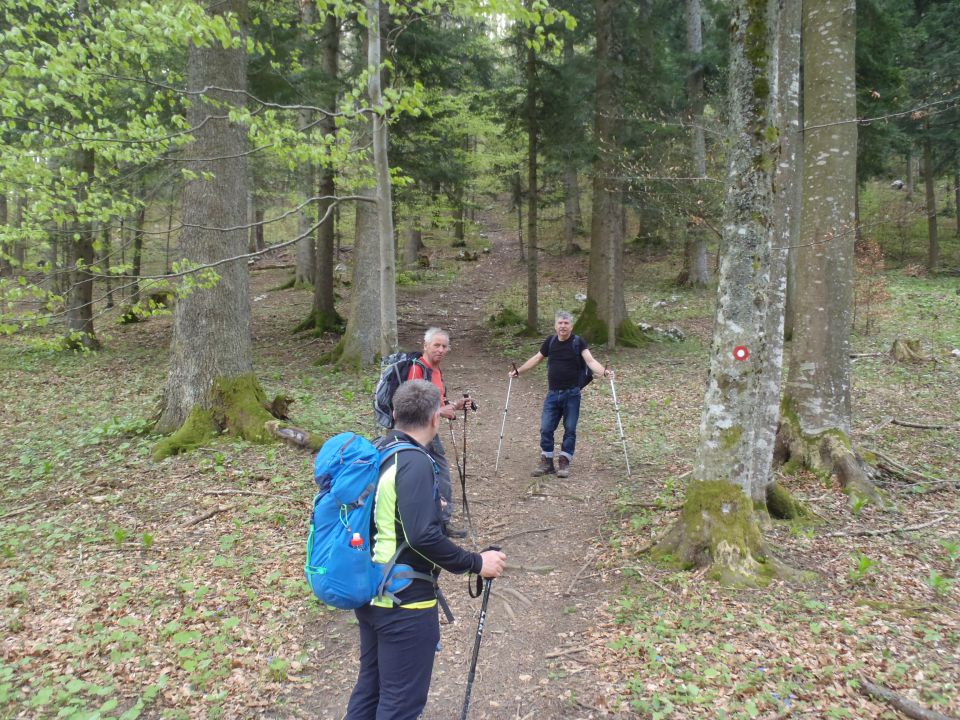 20160417 Kočevje-Stojna (jelenov studenec) - foto povečava