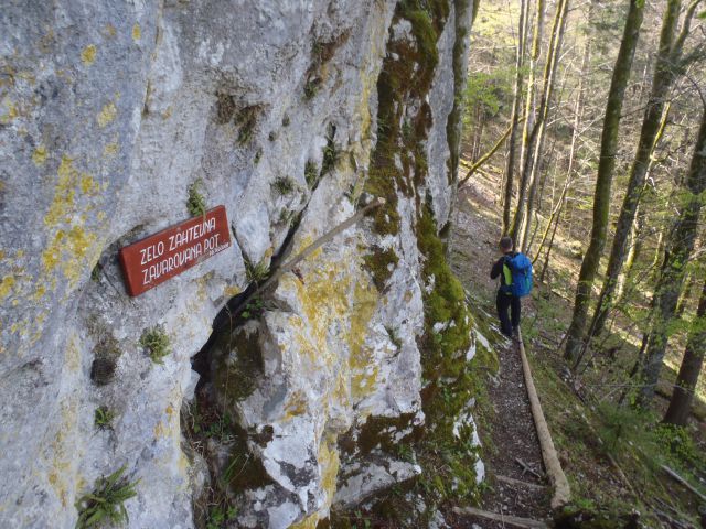 Proti plezalni poti na Fridrihštajn.