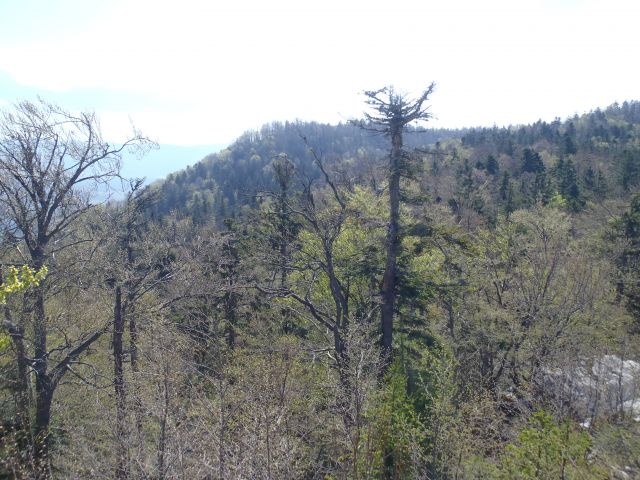 20160417 Kočevje-Stojna (jelenov studenec) - foto