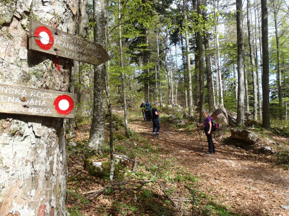 20160417 Kočevje-Stojna (jelenov studenec) - foto povečava