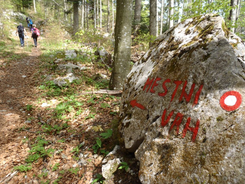 20160417 Kočevje-Stojna (jelenov studenec) - foto povečava