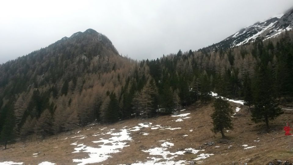 Pogled proti nadaljnji poti proti sedlu Šija ter na vzhodno pobočje Srednjega vrha