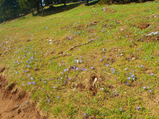 20160507 Velika planina - foto