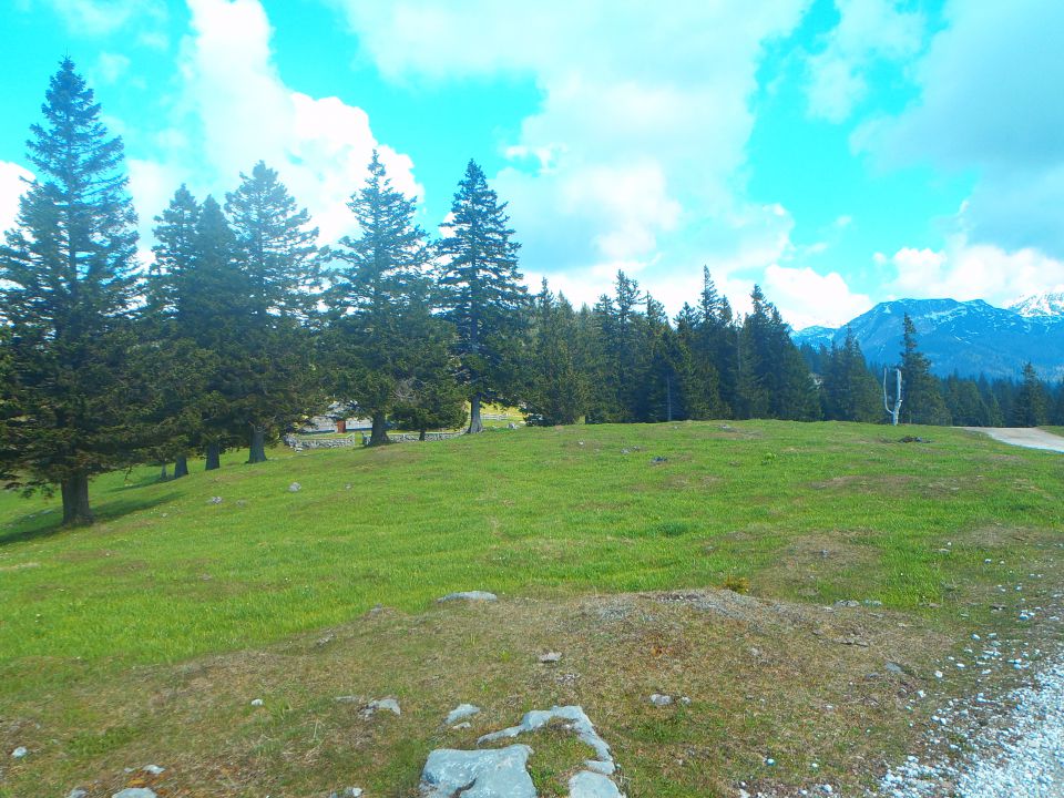 20160507 Velika planina - foto povečava