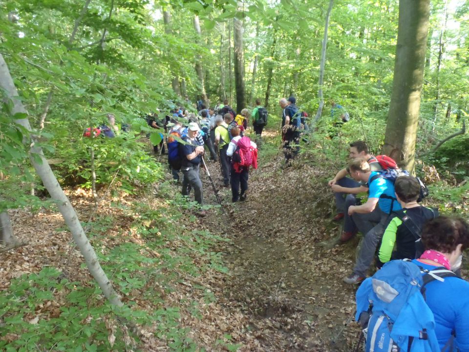 20160521 Rokovnjaški-nočni pohod - foto povečava