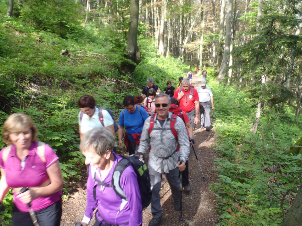 20160605 Čemšeniška planina - foto povečava