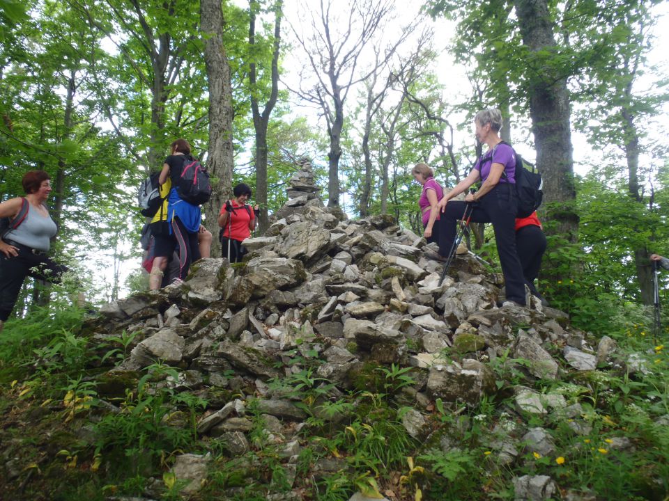 20160605 Čemšeniška planina - foto povečava