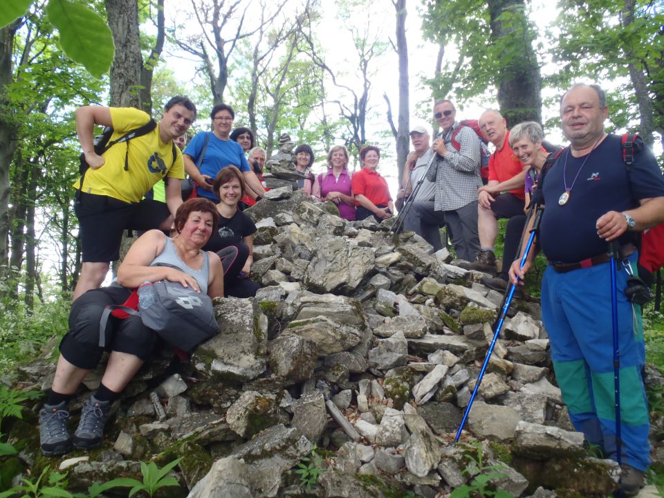 20160605 Čemšeniška planina - foto povečava