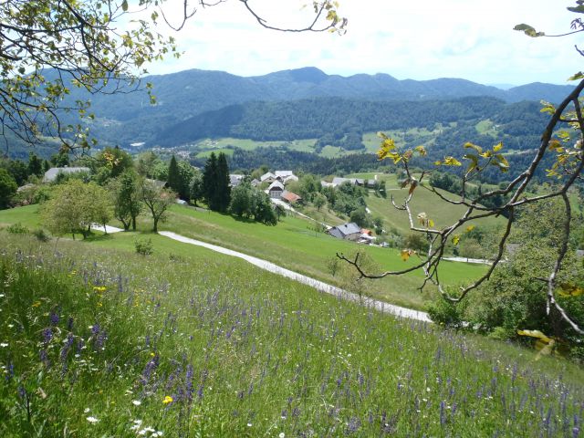 20160605 Čemšeniška planina - foto