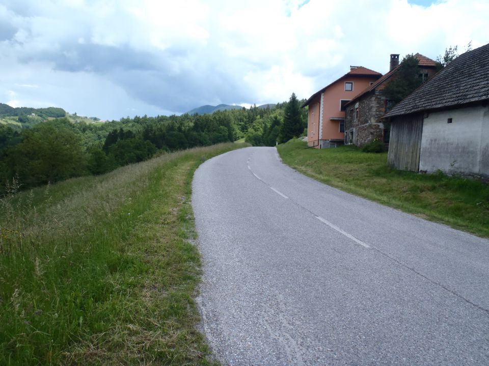 20160605 Čemšeniška planina - foto povečava