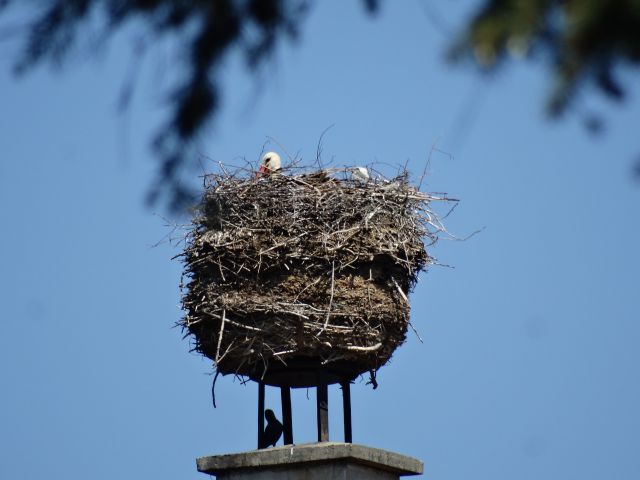 20160521 Srečanje pomurskih planincev - foto