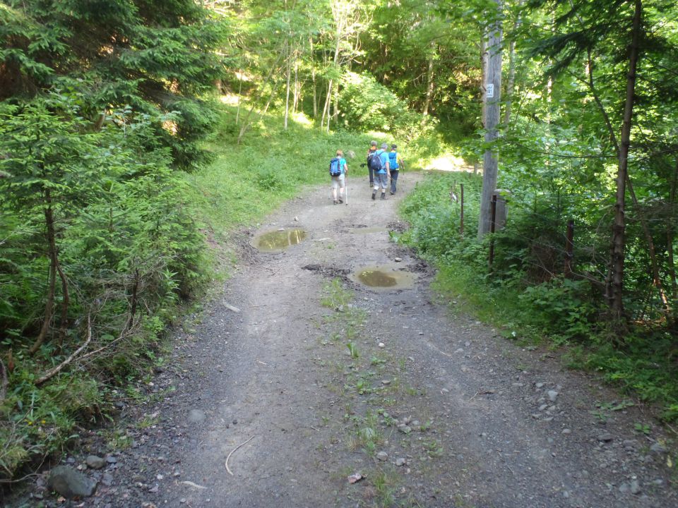 20160625 Tromeja-Zelenci,Podkoren,Peč,Rateče - foto povečava