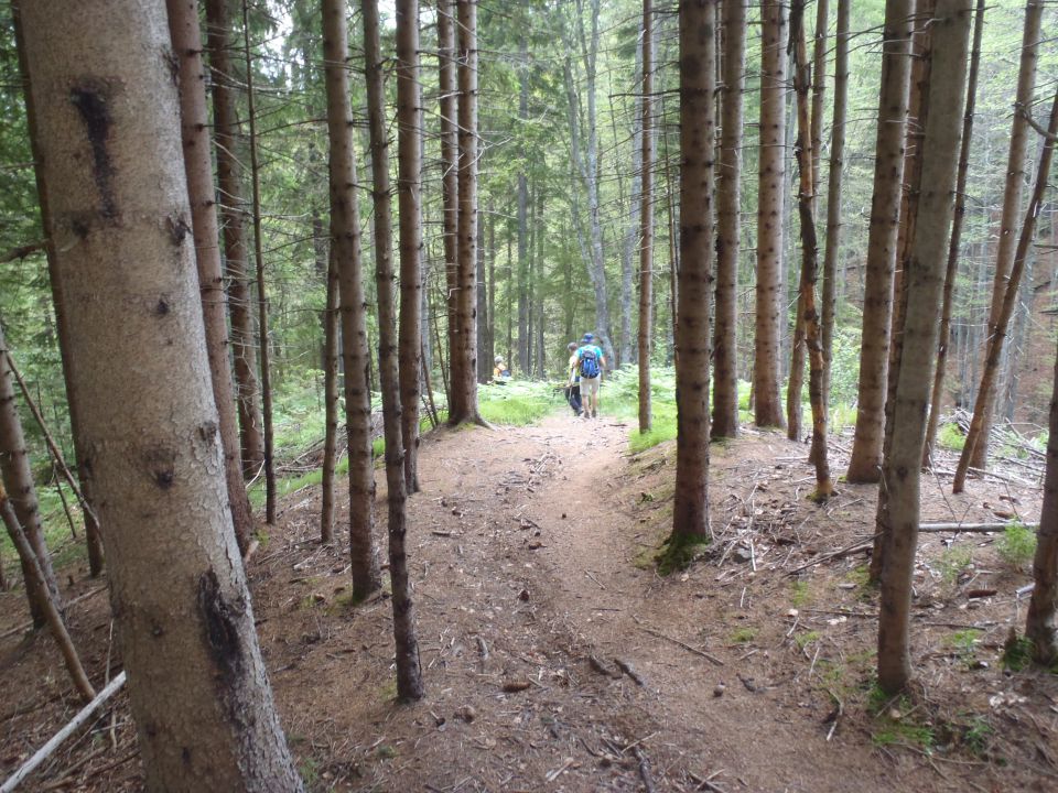 20160625 Tromeja-Zelenci,Podkoren,Peč,Rateče - foto povečava