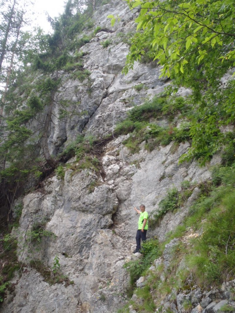 20160625 Tromeja-Zelenci,Podkoren,Peč,Rateče - foto