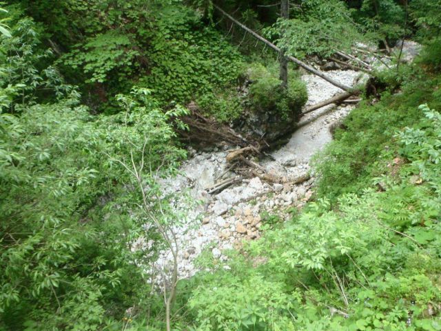 20160630 VDC Pokljuka - Uskovnica - foto