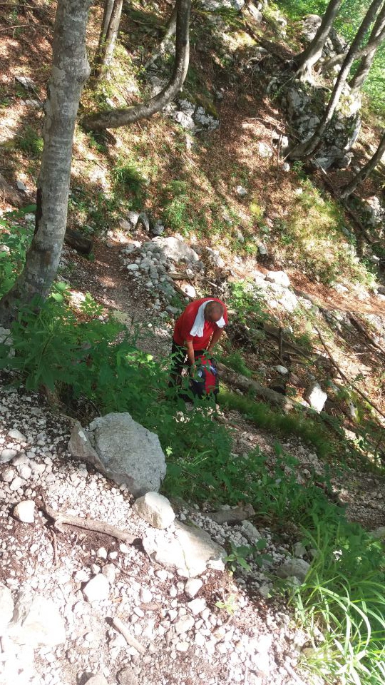 20160702 Grintovec - foto povečava