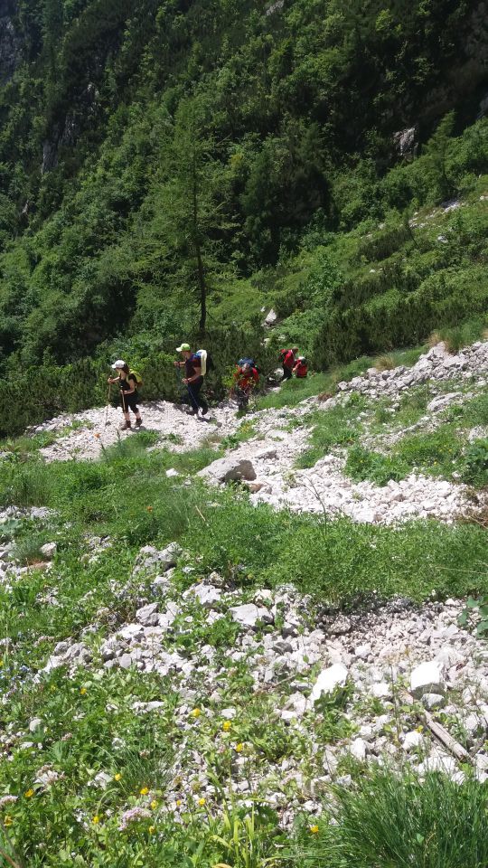 20160702 Grintovec - foto povečava