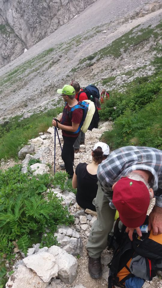 20160702 Grintovec - foto povečava