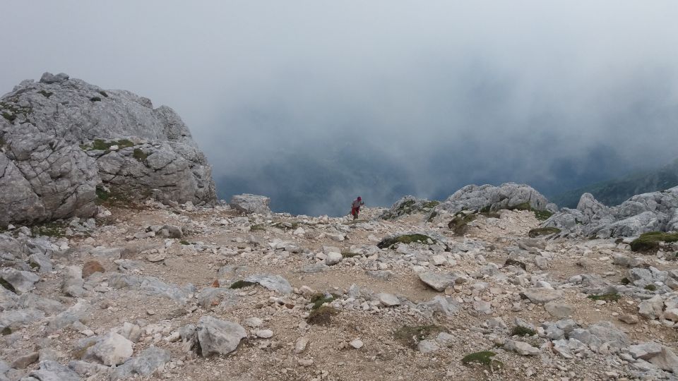 20160702 Grintovec - foto povečava