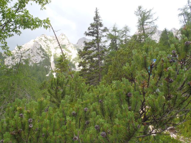 20160717 Sleme, Vrtaški vrh in planina - foto